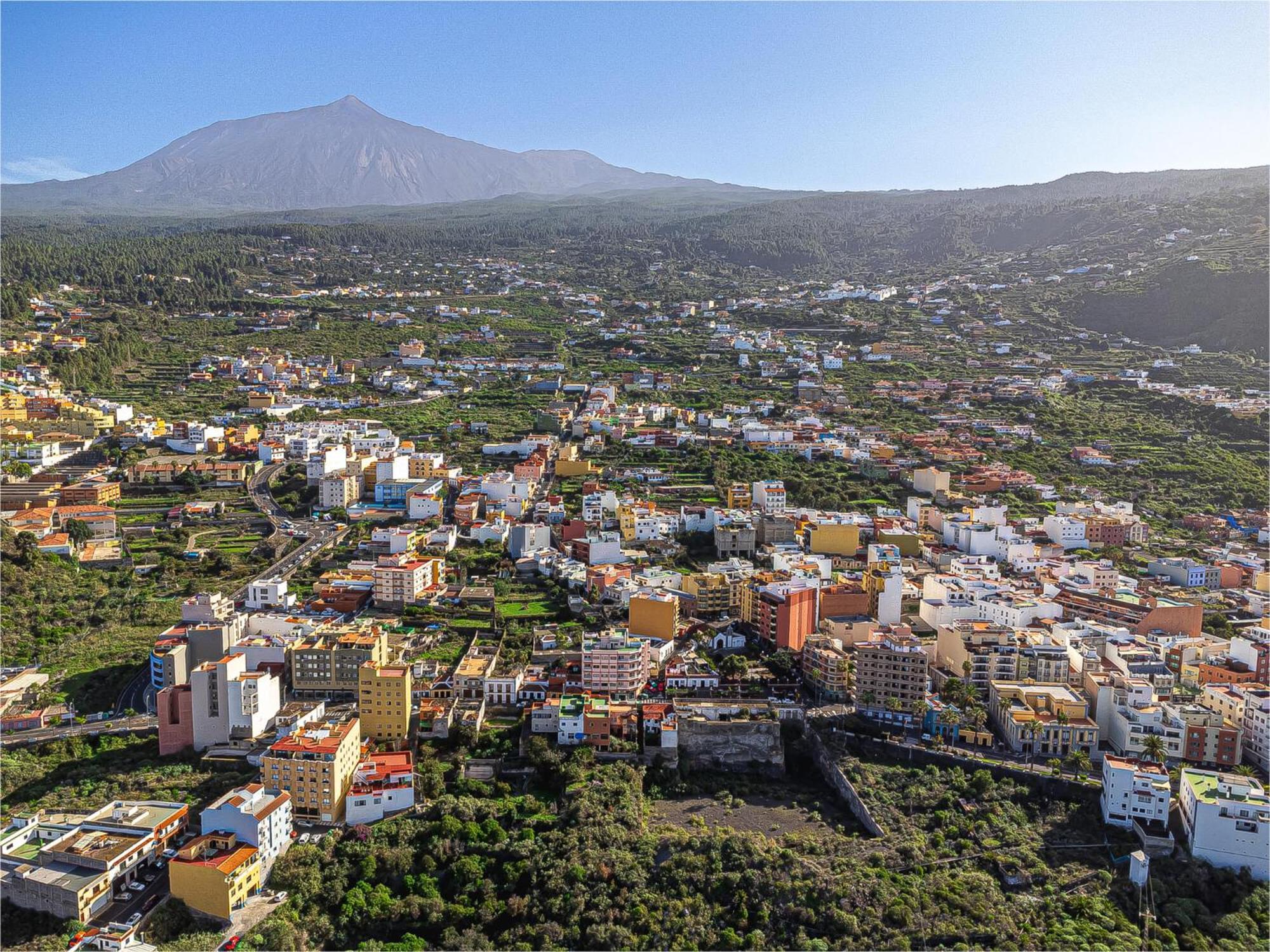 Tenerife Te Espera! Apartment Икод де лос Винос Екстериор снимка