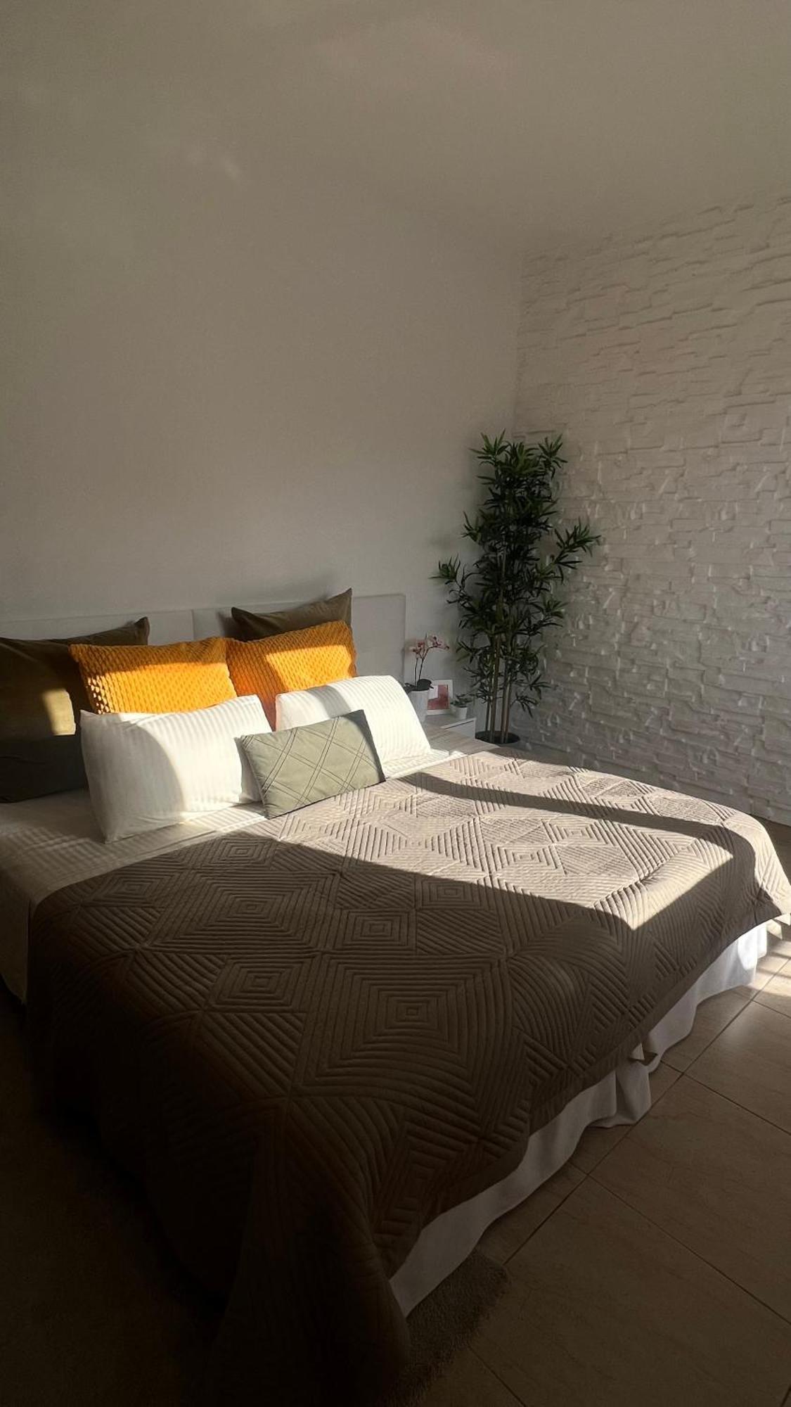 Tenerife Te Espera! Apartment Икод де лос Винос Екстериор снимка